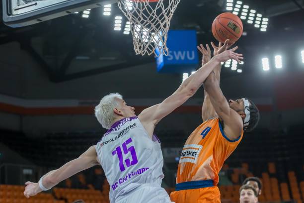 贝尔塔的工 贝尔塔的工