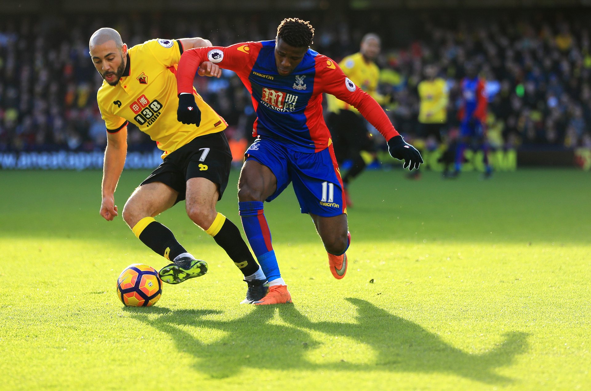 费尔曼作为 费尔曼作为